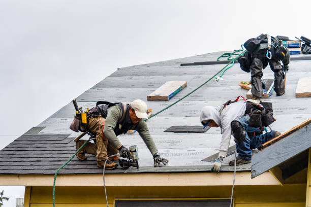 Professional Storm Damage Roof Repair technician working in Trinity, NC